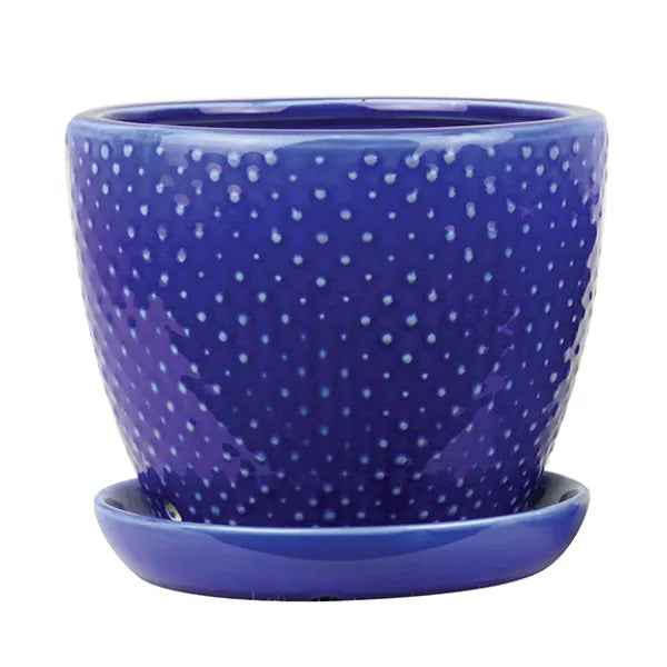 Classic Dot Planter - 6" (imperial blue)