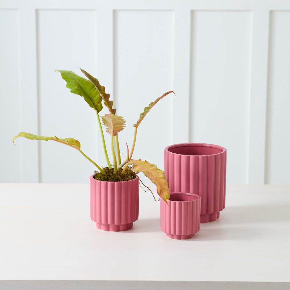 Carmen Pot 5.5" (pink)