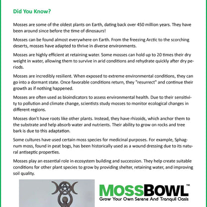 Mossbowl Glass Terrarium