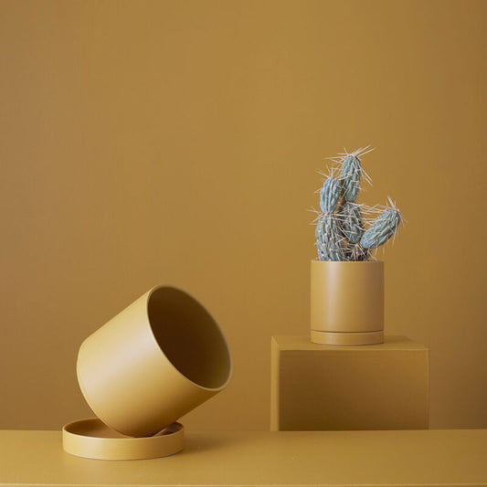 Romey - 5" ochre