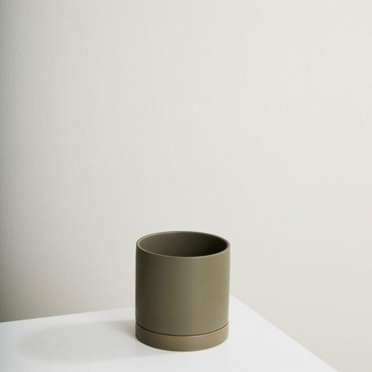 Romey Pot (moss) - 8"