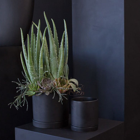 Romey  Pot - 7" (Black)