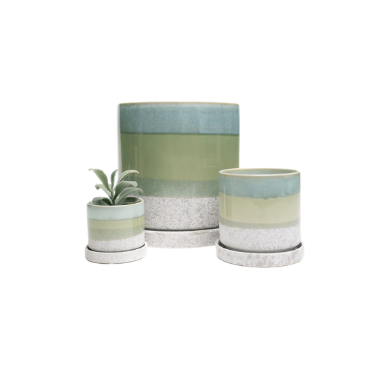 Minute Pot - Green Cement