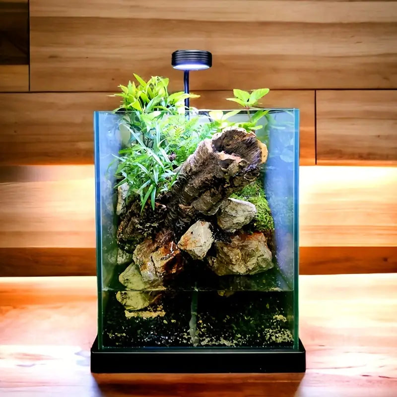 Cube Tank