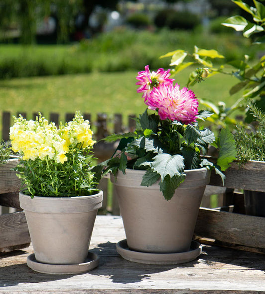 Standard Pot - 7" (dark marble)