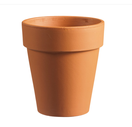 Extra Tall Standard (Rose Pot) – Terracotta 4"