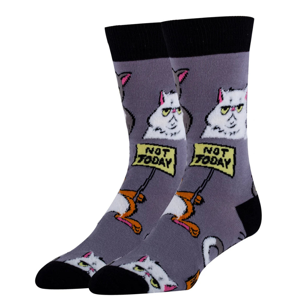 Not Today Socks (men)