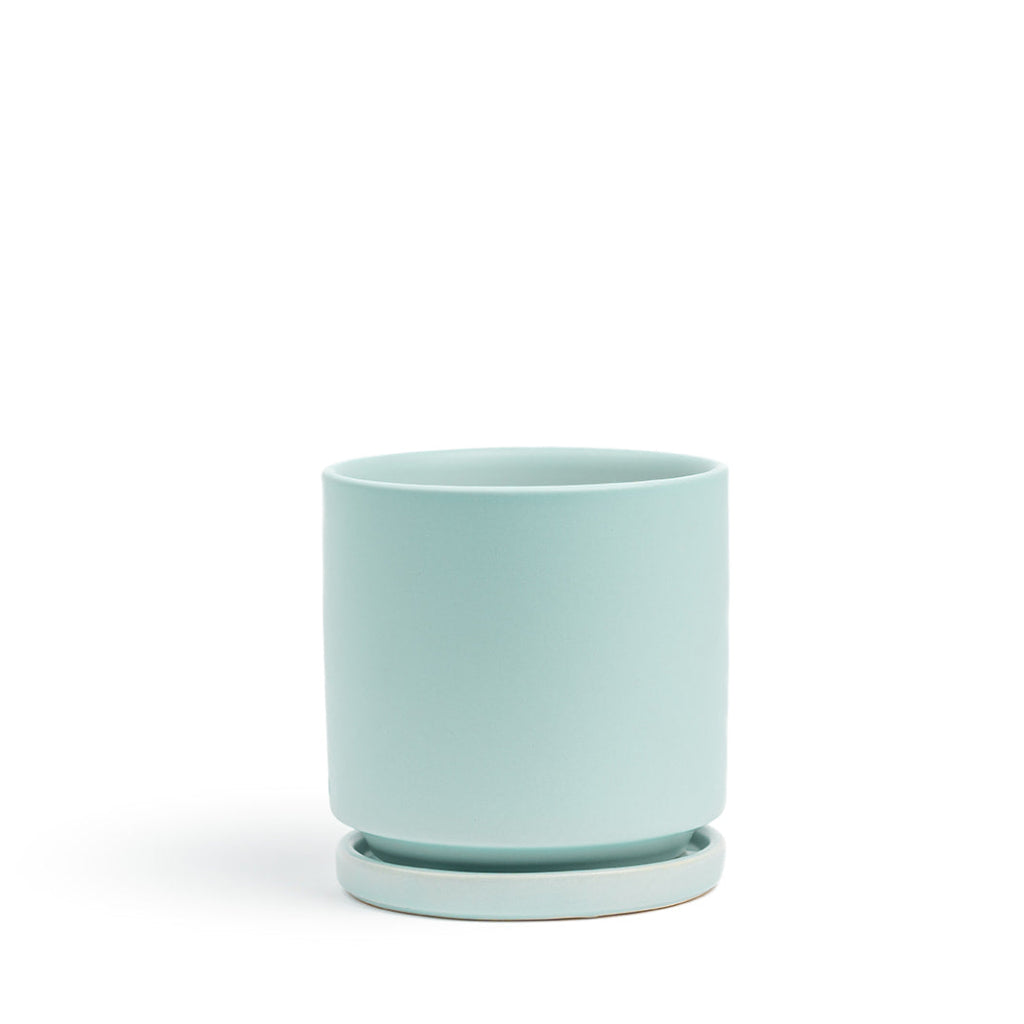 Momma Pot - 6.5"