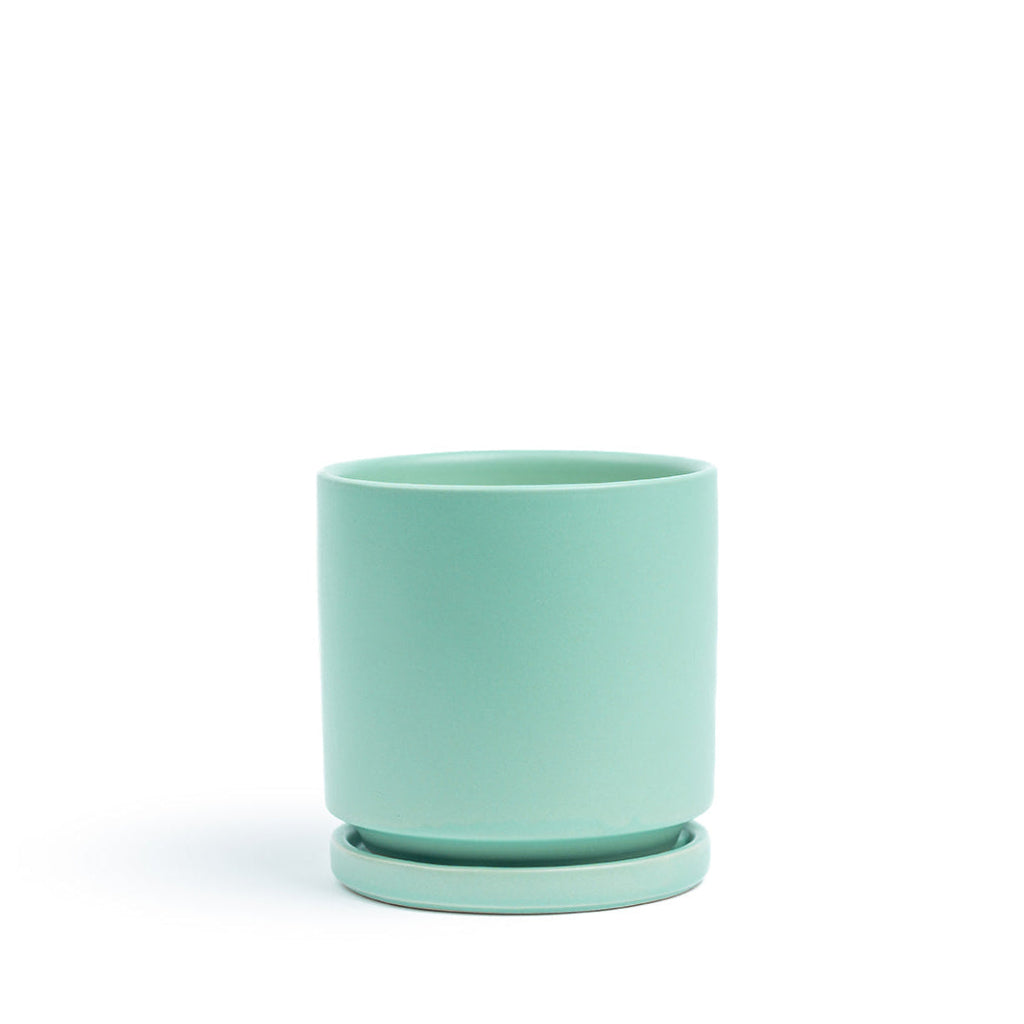 Momma Pot - 6.5"