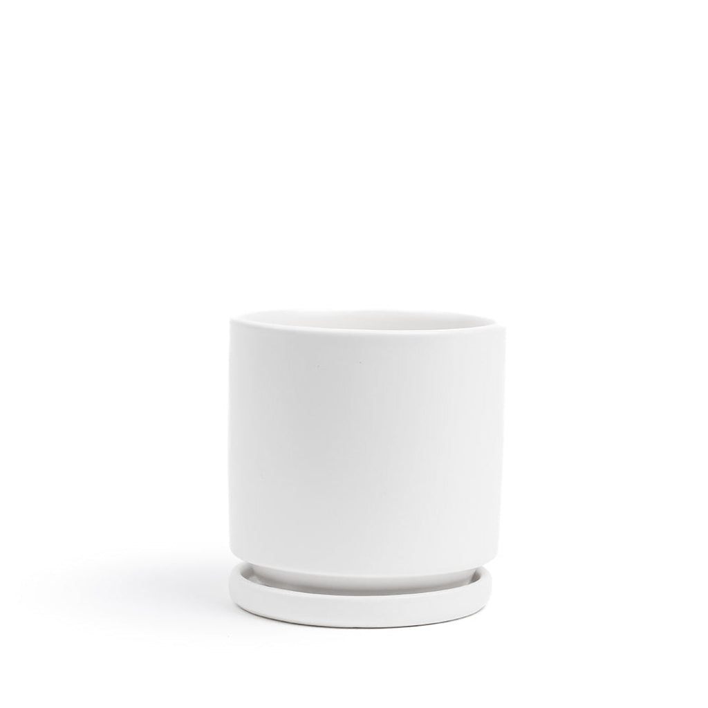 Momma Pot - 6.5"