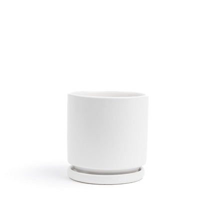 Momma Pot - 6.5"