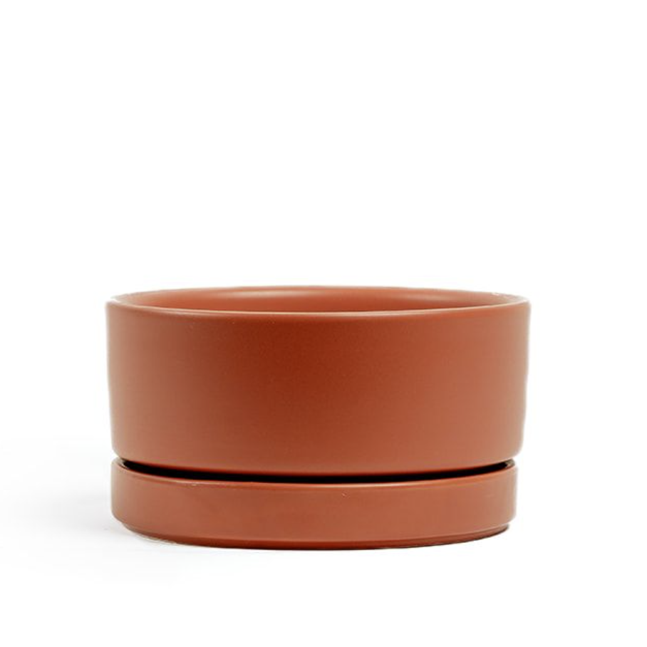 Momma Pot  - Low Bowl - 6"
