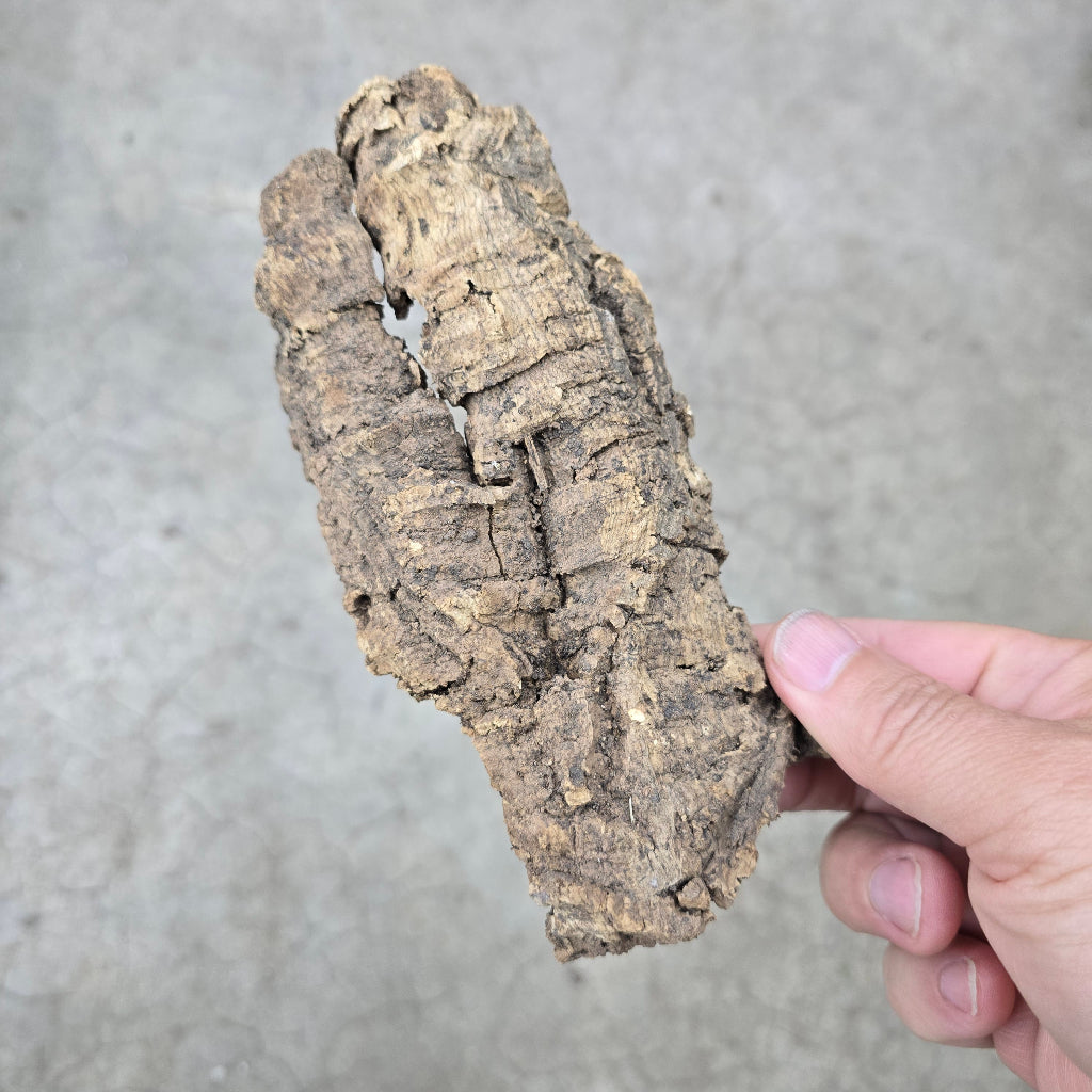 Natural Cork