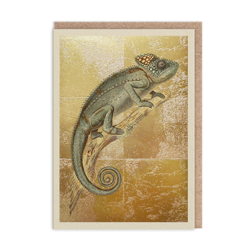 Ohh Deer Card - Cameleon Verruqueux