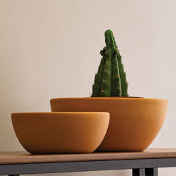 Low Bowl - 8" (terra cotta)