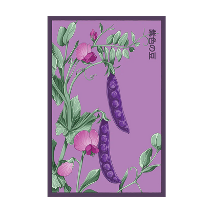 Seed - Purple Peas