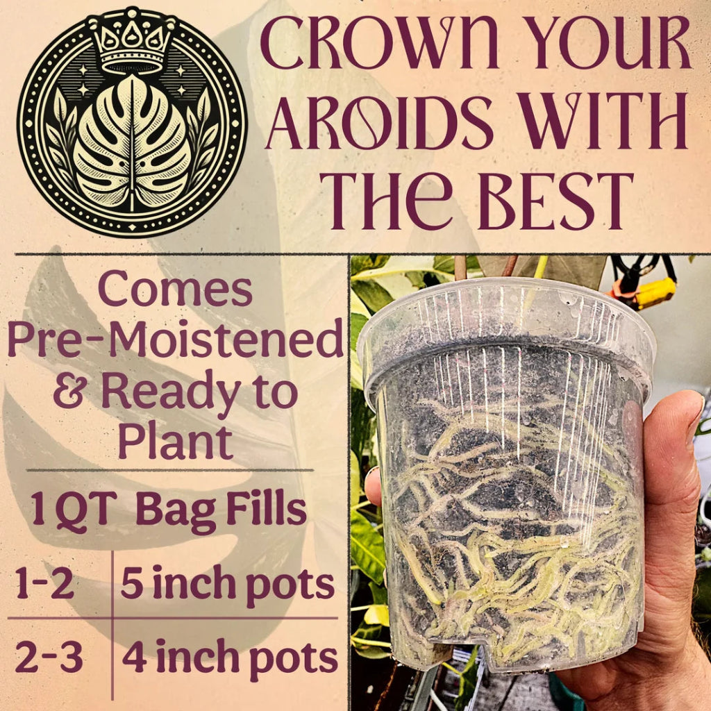 Aroid Soil Mix