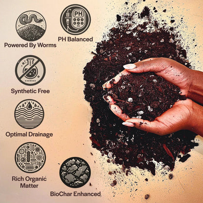 Aroid Soil Mix