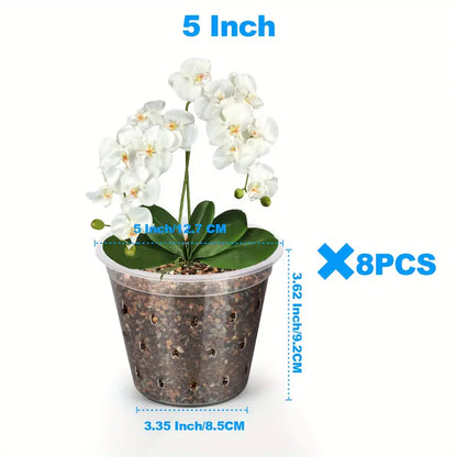 Clear Aroid Pot - 5"