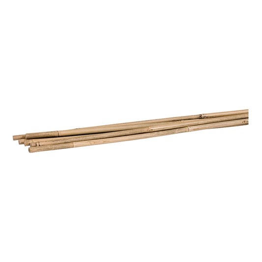 Bamboo stake - 6 ft