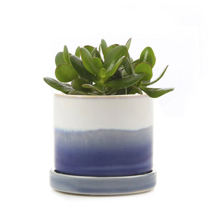 Minute Pot - 3"