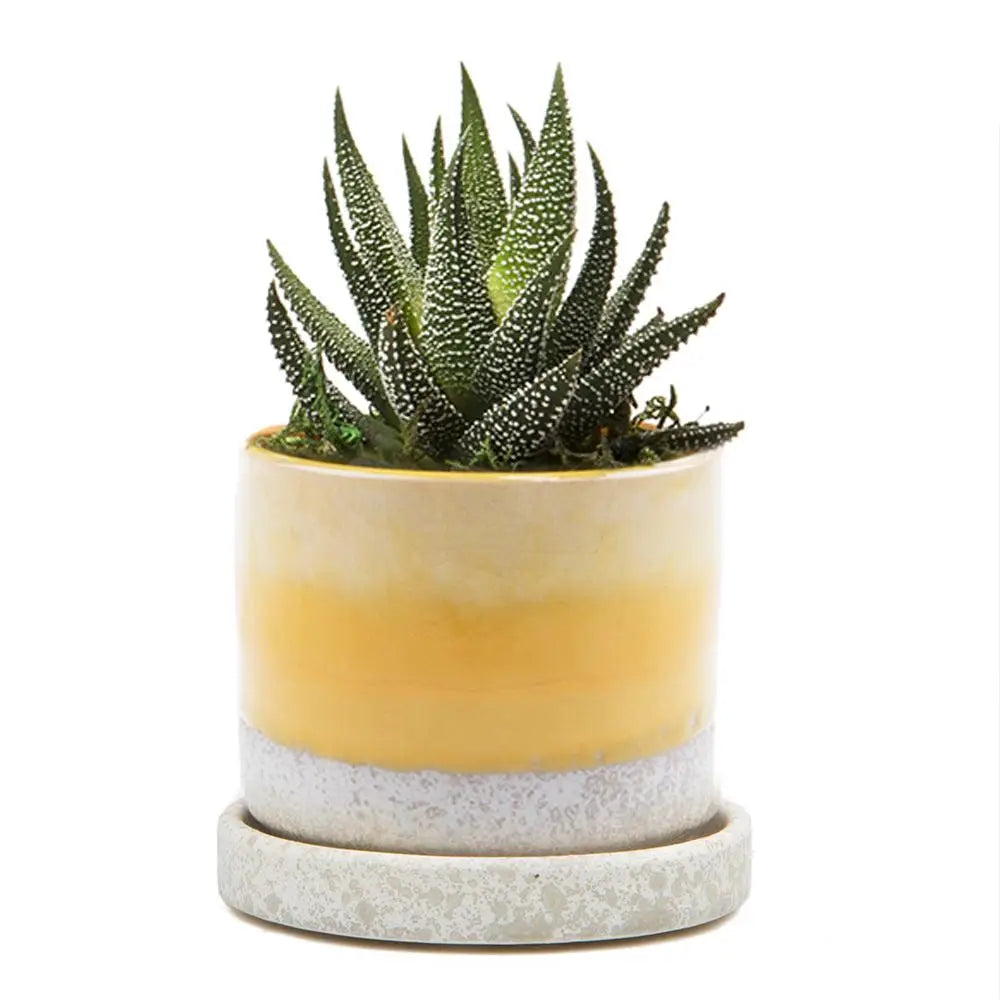 Minute Pot - 3"
