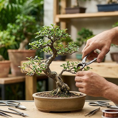 Bonsai Workshop - Saturday (June 13th 6pm - 8pm)