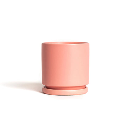 Momma Pot - 4.5"