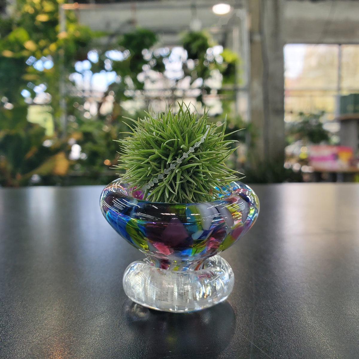 Mini Glass Airplant Holder