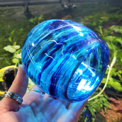Glass Betta Fish Home