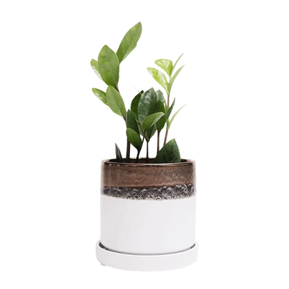 Minute Pot - 5"