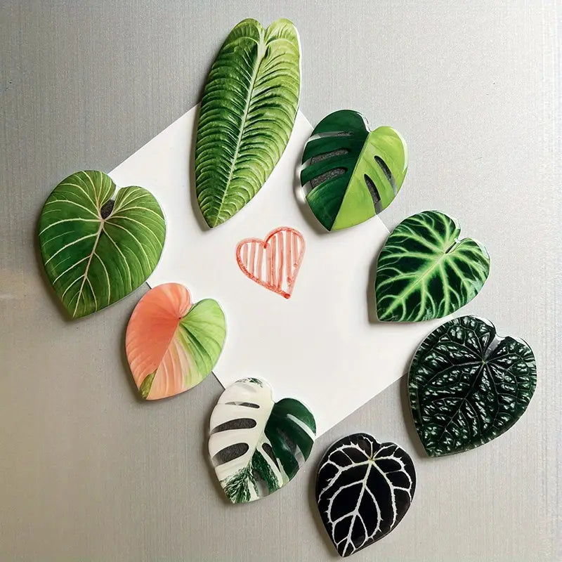Assorted Aroid Plant Magnet