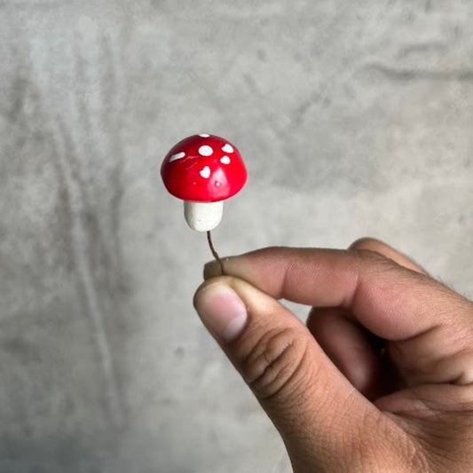 COOL SH*T - MINI AMANITA MUSHROOM