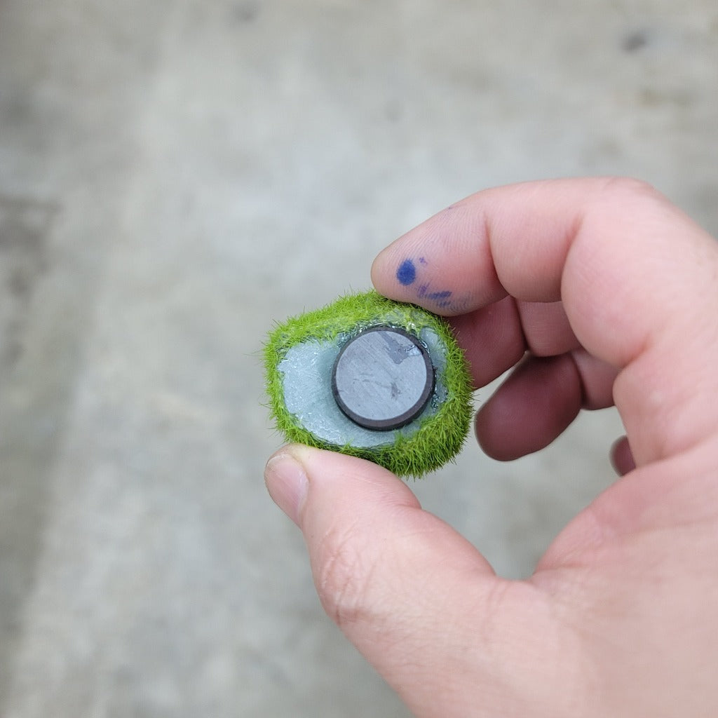 Moss ball magnet