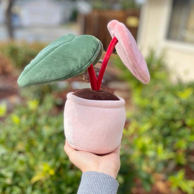 COOL SH*T - PHILODENDRON PINK PRINCESS PLUSHIE