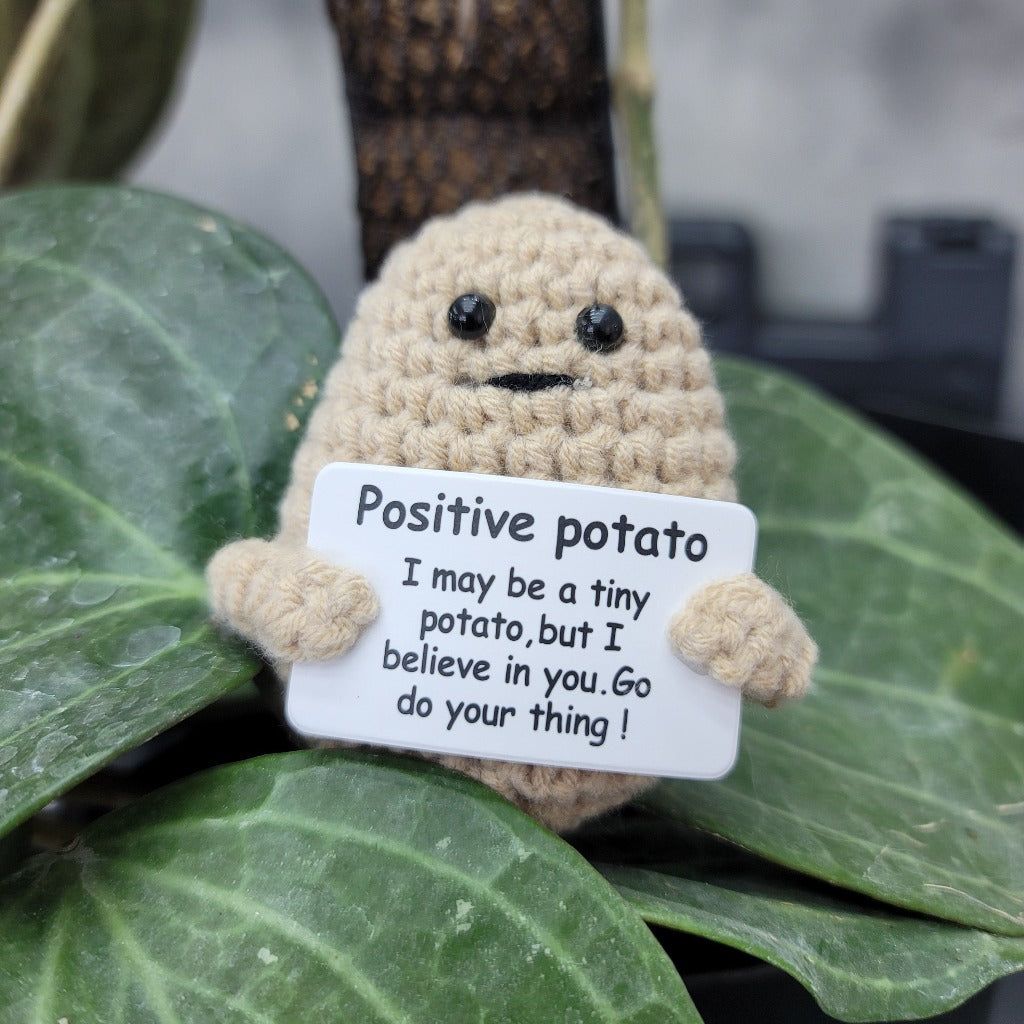  Positive Potato : Handmade Products