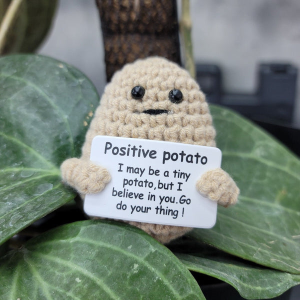 Crochet Positive Potato 