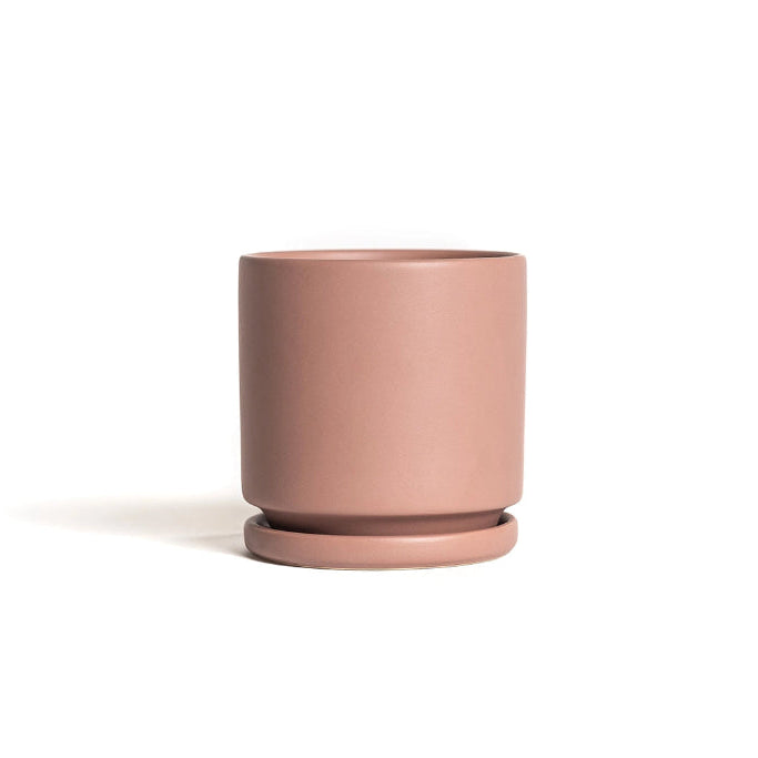 Momma Pot - 4.5"