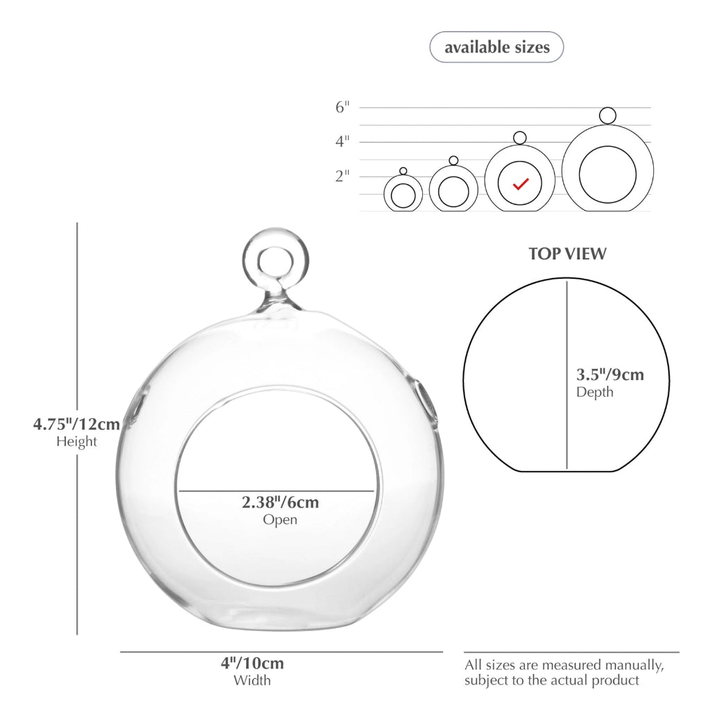 Terrarium Globe - 4"