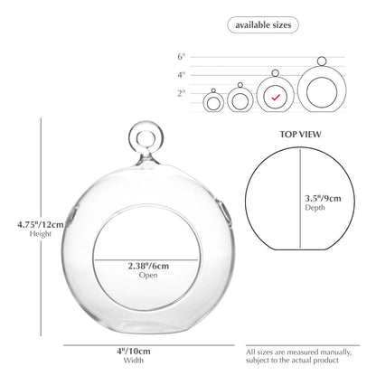 Terrarium Globe - 4"