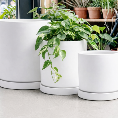 Mama Pot - 10"