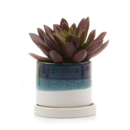 Minute Pot - 3"