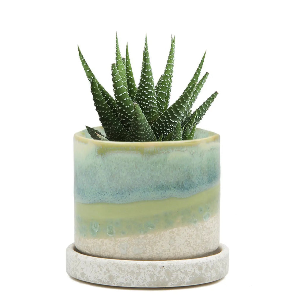 Minute Pot - 3"