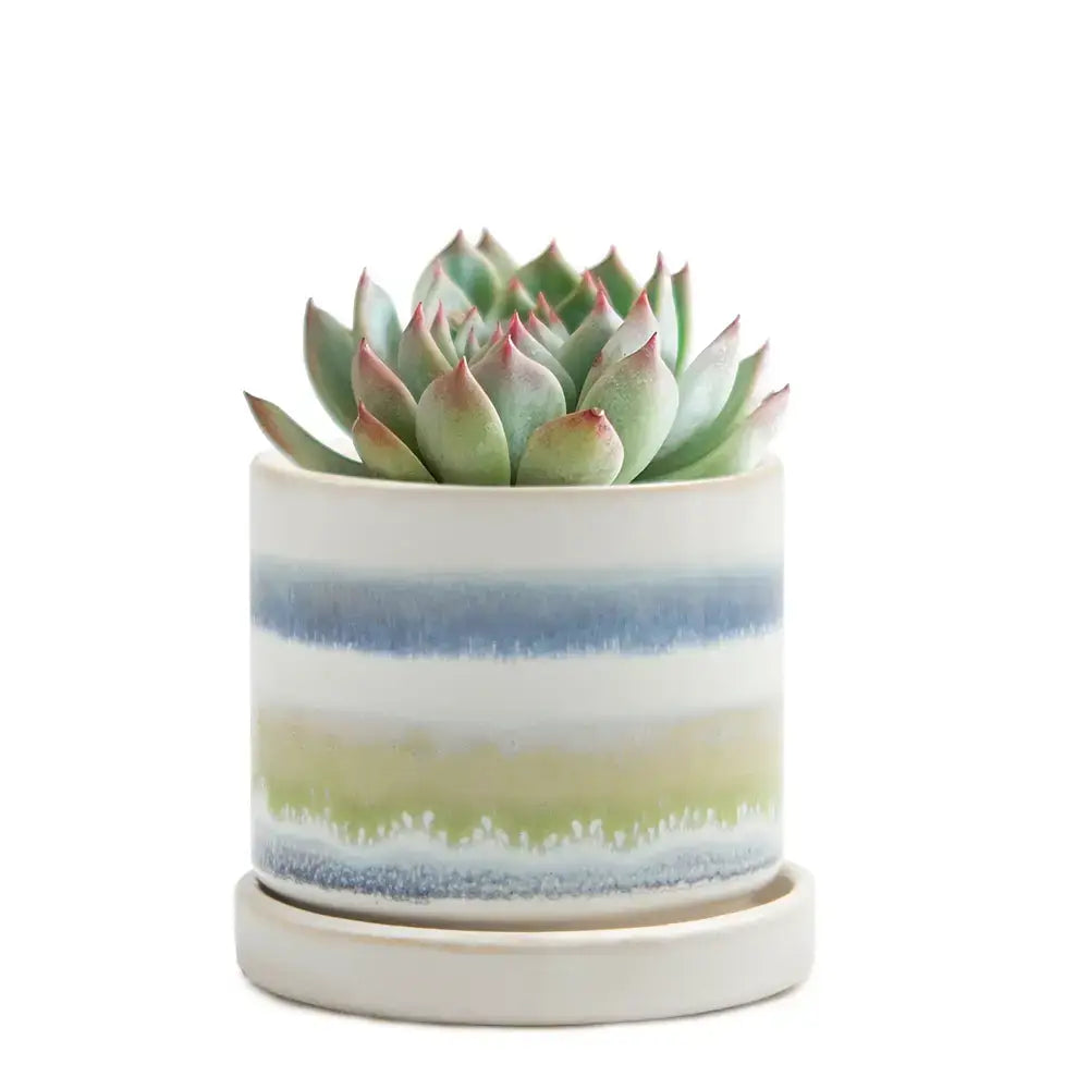 Minute Pot - 3"