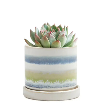 Minute Pot - 3"