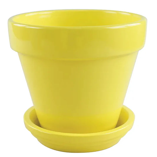 Standard Pot - 4" (Lemon)