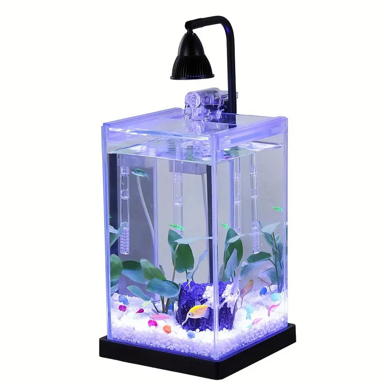 Mini Aquarium Kit