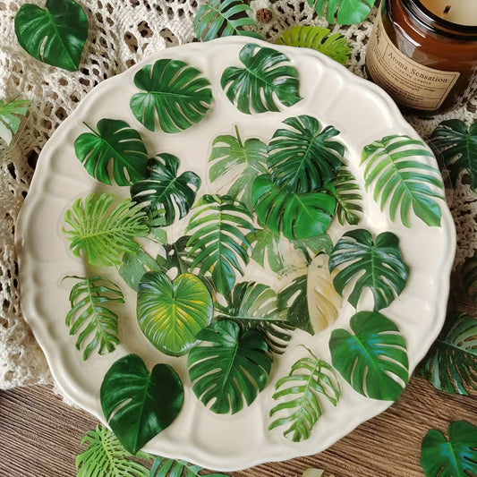 Monstera sticker - assorted