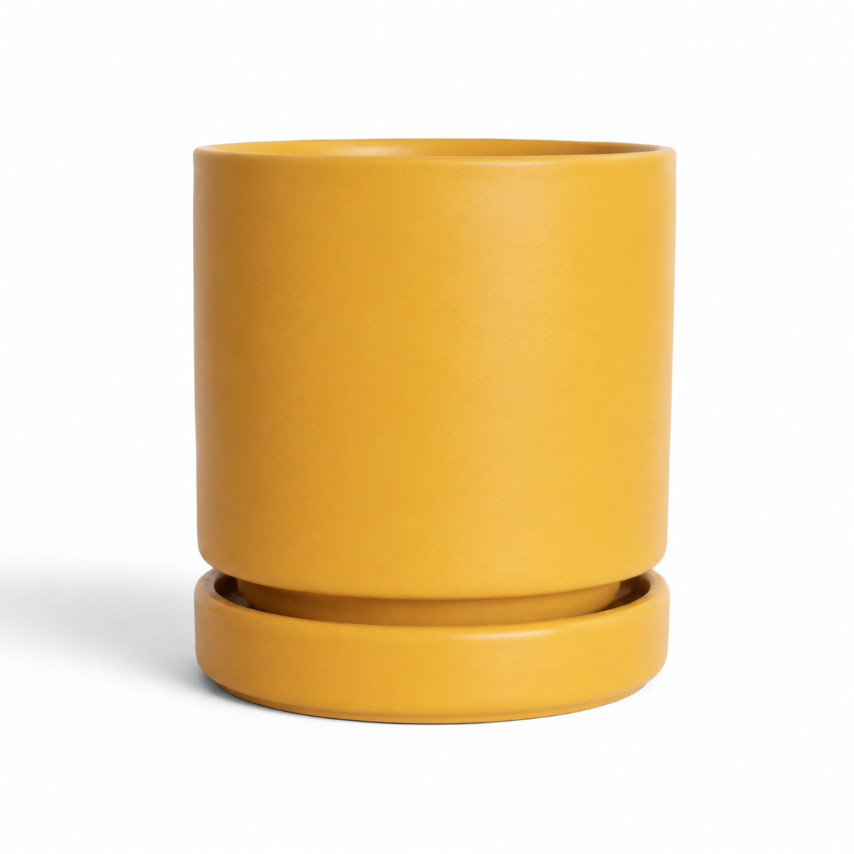 Momma Pot - Mustard