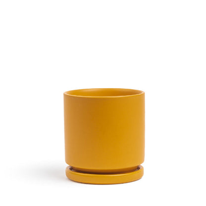 Momma Pot - 6.5"